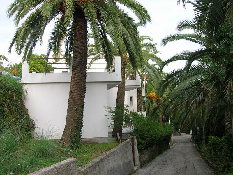 Apartmani I Sobe Goca Herceg Novi Exterior foto